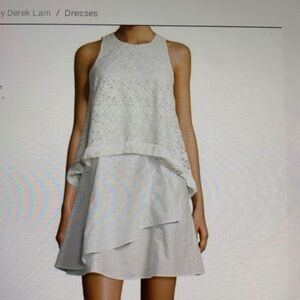 Derek Lam 10 Crosby Empire Lace Flounce Dress 2